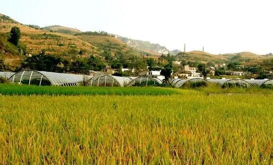 農(nóng)業(yè)綜合概念